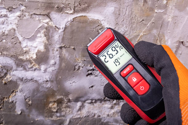 Best Professional Mold Removal  in Rapid City, MI