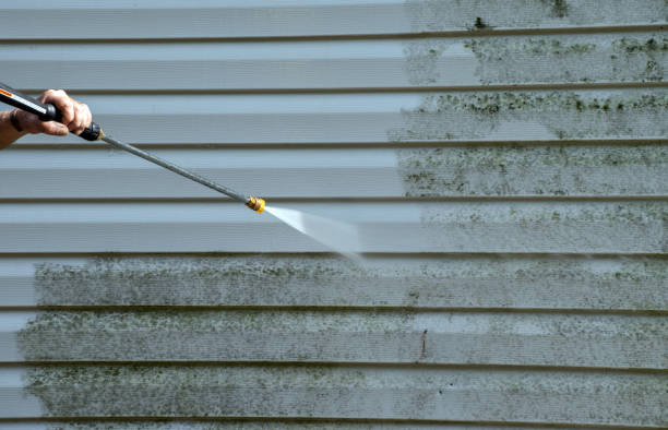Best Attic Mold Removal  in Rapid City, MI