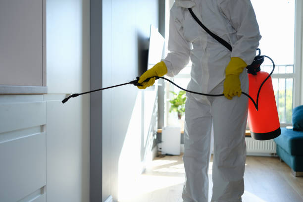 Home Mold Removal in Rapid City, MI