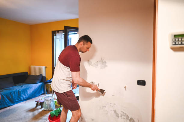 Attic Mold Removal in Rapid City, MI